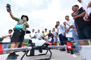 贵州黄平县：无人机助力 为田间稻花保驾护航