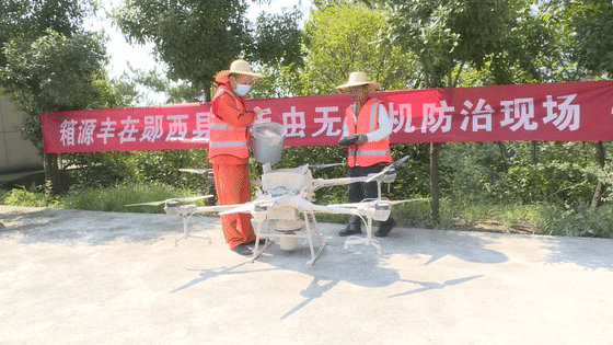 无人机喷洒药物防治森林病虫害？县自然资源局这一做法“亮了”
