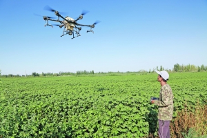 无人机 田间作业