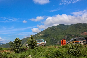 无人机飞行2447架次 他们如何讲好追象护象故事