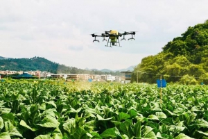 无人机助力农户田间管理