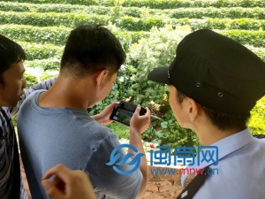 紧急！泉州安溪一女子跟家人吵架，惊动了无人机