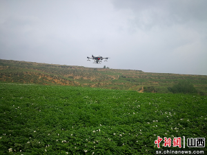 山西古交市：无人机植保增效 灭病虫防治有力