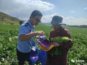 隆德县｜出动无人机，禁种铲毒实现全域监测