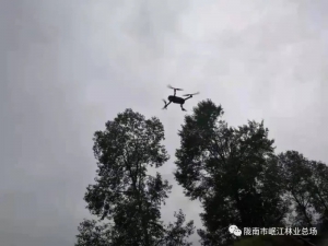 陇南市岷江林业总场官亭林场首次采用无人机巡山查林