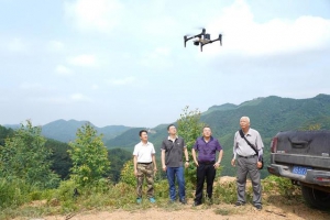 黄冕首次应用多光谱无人机监测桉树黄化疫情
