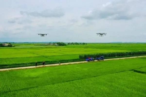 秋后除虫害，无人机，上