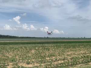 “感觉玩着就把农活干完了” 极飞农业无人机给90后新农人干农活