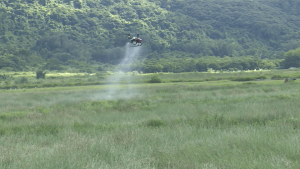 海陵农民也用上了无人机