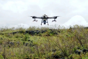 无人机精准洒下“绿色希望”，大理困难立地造林用上了新科技