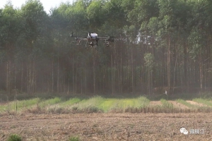 现代化农业，无人机成“新宠”