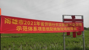 无人机精准施肥，助力水稻科学高效种植～