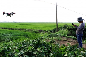 安徽颍上：无人机飞防作业 保障水稻优质高产