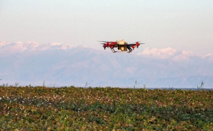 促进新疆棉花高质量发展行动指南