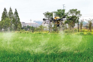 无人机一分钟洒药一亩地