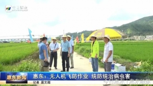 无人机飞防作业 统防统治病虫害