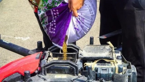 无人机播种，一天300亩