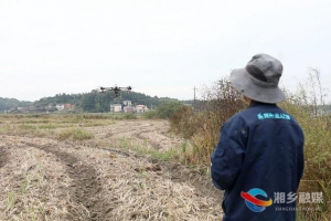 湘乡：省力又高效 无人机飞播油菜籽