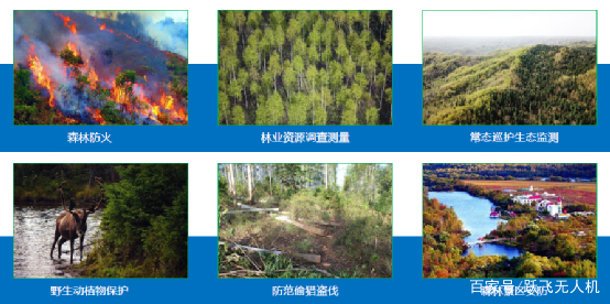 无人机林草区应用解决方案