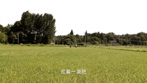 农村大姐把无人机玩成新农具：服务周边乡村年收入数十万