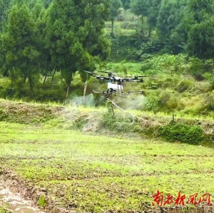 当种田遇上无人机 5分钟内播好一亩地