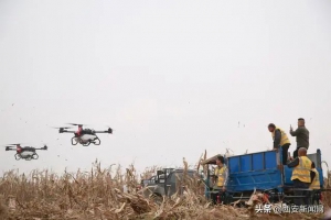 土壤湿度大小麦难播种 农业无人机应急飞播显身手