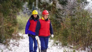 无人机巡线，拉网式排查，变电站消防栓“穿棉衣”……寒潮来袭，杭州这样保供电