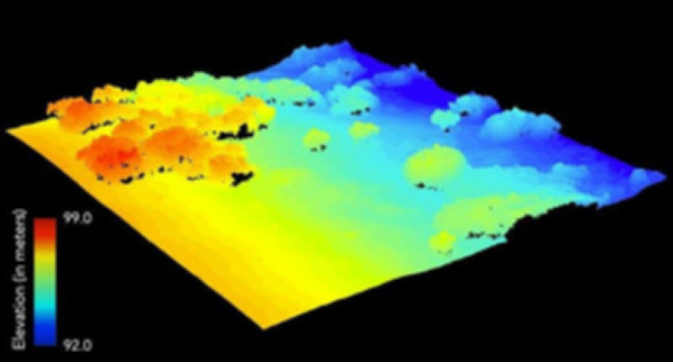 无人机飞行提供北极苔原植物数据