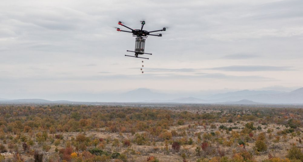 克罗地亚使用无人机播撒种子，重新种植被火灾破坏的森林