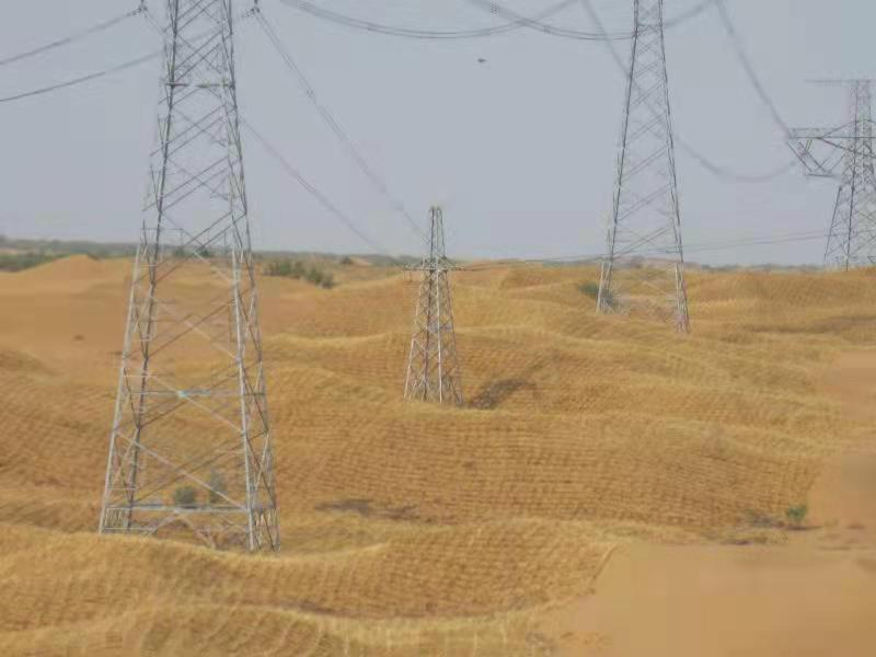 无人机治沙，妙！