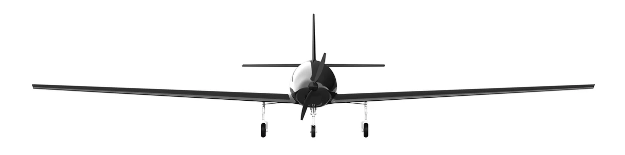 黑天鹅_无人机网(www.youuav.com) 黑天鹅_无人机网(www.youuav.com)