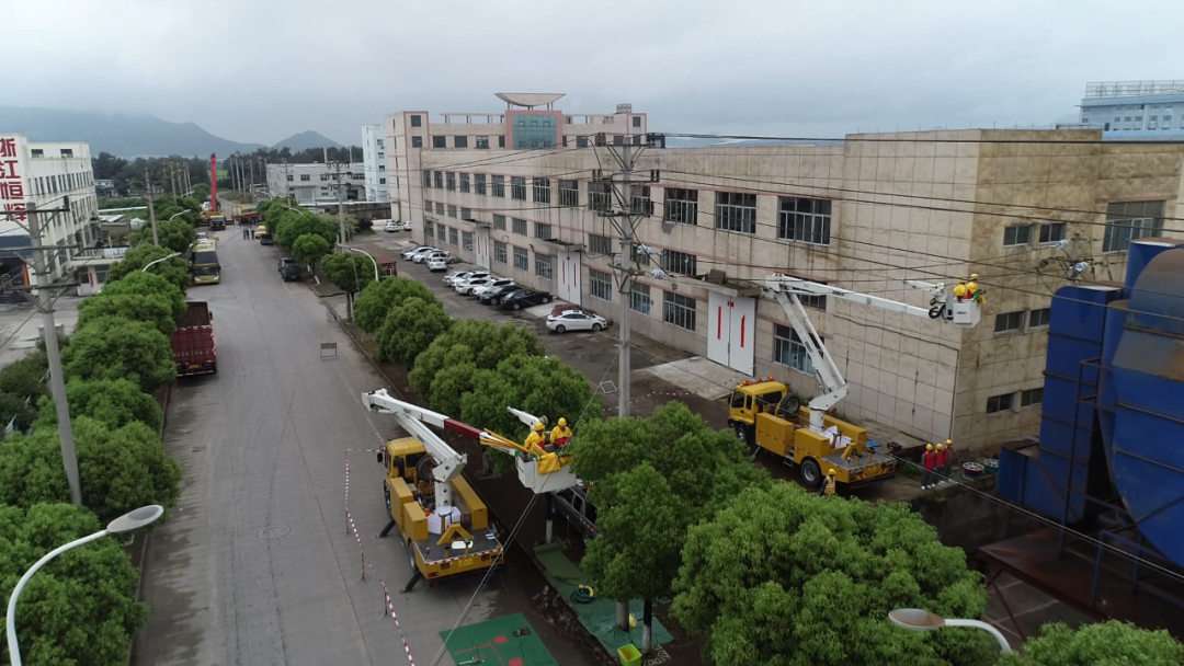 共看“曙光”一线，星逻智能助力温岭开启配网架空线路全自动巡检新模式