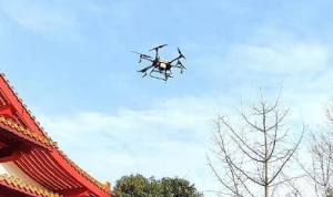 中山公园首次启动植保无人机“诊治护航”