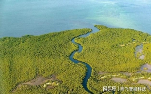 无人机环保领域应用