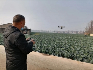 【乡村振兴开新局】云梦无人机助力科技兴农