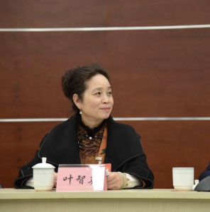 四川省政协委员叶智英：建议支持自贡建设世界无人机之都 举办世界无人机产业发展大会