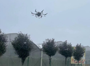 赛湖农场：出动无人机为种植大棚融雪抗灾