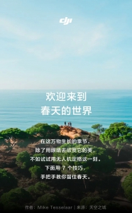 全年最出片的季节，如何拍绝美大片？