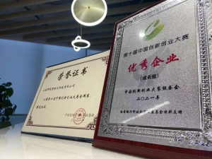 狮尾智能 | 第十届中国创新创业大赛全国优秀企业奖