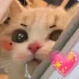 捷报丨德国AircrasherSeason 2022穿越机比赛，T-MOTOR HOBBY赞助飞手包揽奖牌