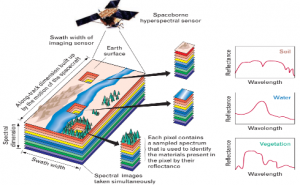 【解决方案】低空多光谱遥感用于松材线虫病变色立木监测的优势：快、准、省！