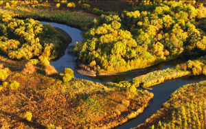 无人机湿地保护解决方案