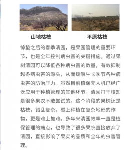 极目无人机“战干枝” ，春季清园神器登场！