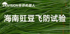 海南 | 豇豆飞防试验打造高效飞防模式