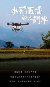 这个春天，让无人机帮你播水稻