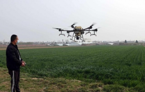 无人机作业 助力冬小麦除草