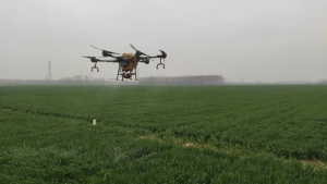 无人机喷洒助丰收 河南尉氏县麦田管理用上“黑科技”