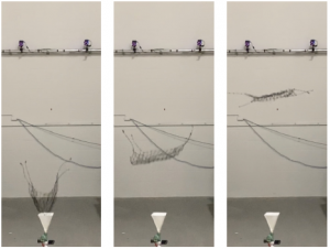 利用机载网枪反无人机背后的科学原理