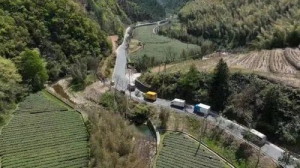 杭州桐庐：无人机+直通服务车 快递企业为春茶销售辟新路