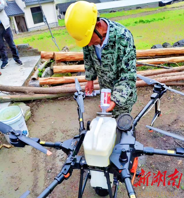隆回：无人机完成松毛虫防治面积5000亩